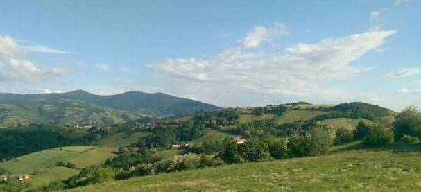 НАЈМЛАЂИ ДИРЕКТОР У СРБИЈИ: Никола (21) управља развојем села